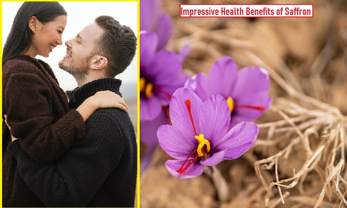 Benefits Of Saffron For Men In Hindi केसर के 17 फायदे, उपयोग और नुकसान